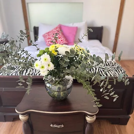 Apartment Urban Oasis - Luxe Cozy Centre Big