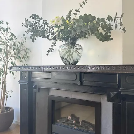 Urban Oasis - Luxe Cozy Centre Big Apartment Schiedam